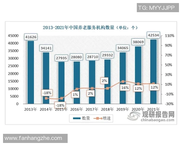 成都排球队运营分析：成功经验与不足之处的深度探讨