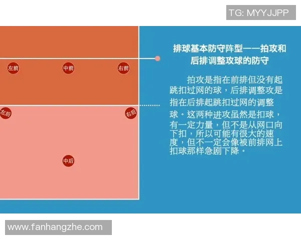 杭州排球队反击战术解析与实战应用探讨