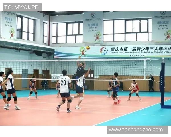 重庆排球队选拔赛背后的拼搏故事与奋斗历程全景回顾