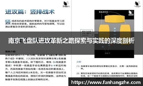 南京飞盘队进攻革新之路探索与实践的深度剖析